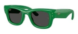 RAY-BAN 4940 PUFFER 683487