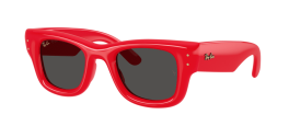 RAY-BAN 4940 PUFFER 683187