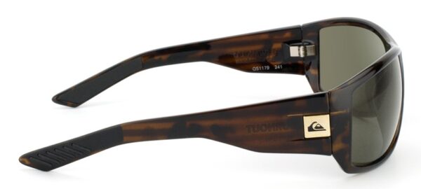 Quicksilver QS1179 241 BURNOUT - Imagen 2