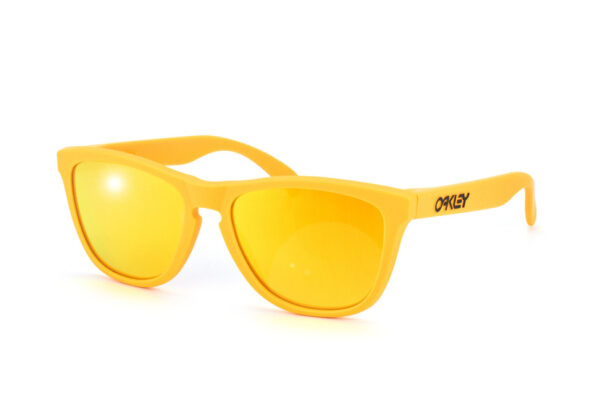Oakley FROGSKINS 24-343