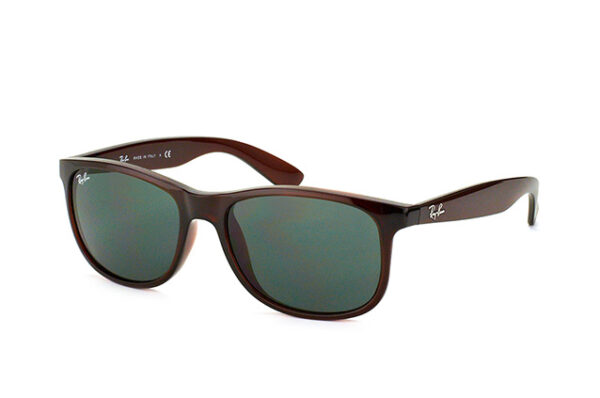 Ray-Ban RB4202 ANDY 714/71