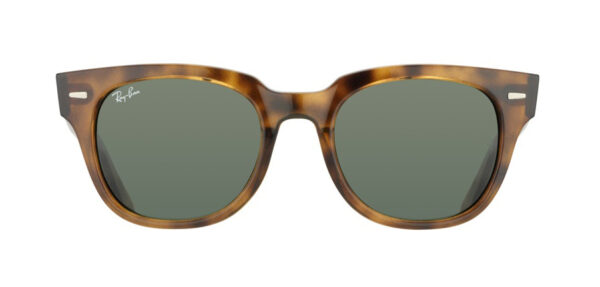 Ray-Ban RB4168 710 METEOR