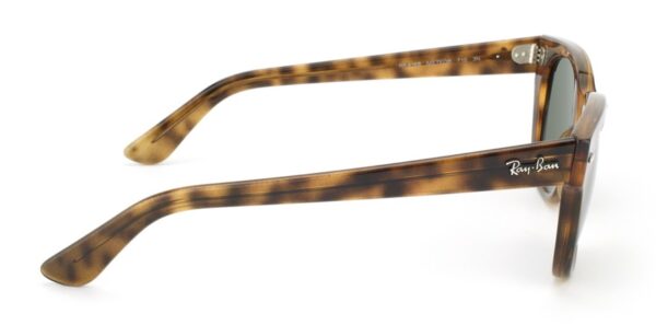 Ray-Ban RB4168 710 METEOR - Imagen 2