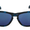 Oakley FROGSKINS 24-309 EDICION COLECCIONISTA