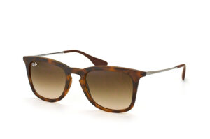 Ray-Ban RB4221 865/13
