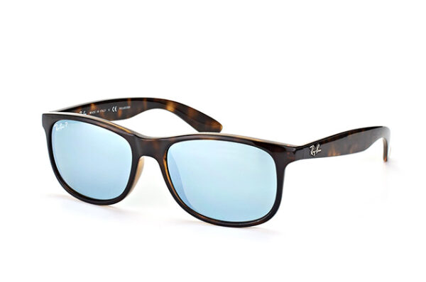 Ray-Ban RB4202 710/Y4 Andy