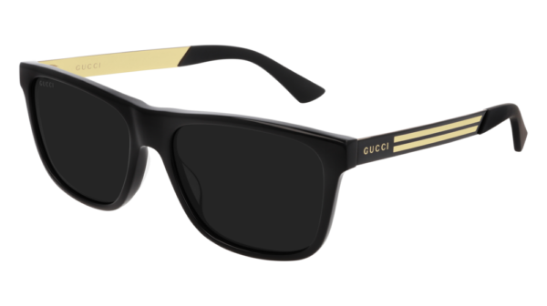 Gucci GG0687S 002