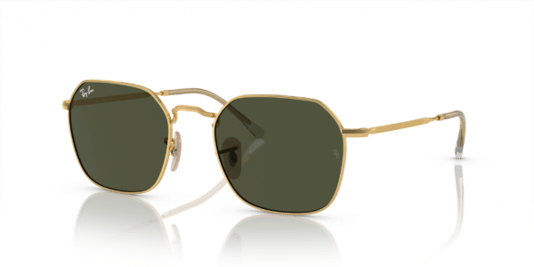 RAY-BAN RB3694 JIM 001/31